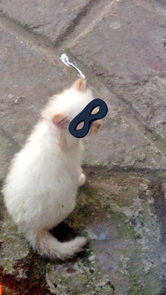 Lim1632's tweet photo. @kochengfess Sengaja ku kasih topeng biar susah nebak nya https://t.co/IX0iZ6JZjE