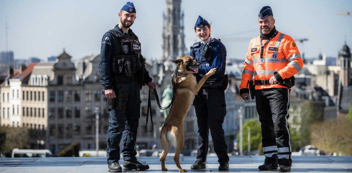 👮‍♀️👮Een job bij de politie: iets voor jou? 👉Schrijf je in voor 31 maart!
Onze Politieschool organiseert samen met Jobpol Politie - Police op zaterdag 2 april opnieuw een 'echte' infodag waar je àlles komt te weten over de opleiding tot inspecteur.
👉jobpol.be/evenementen/jo…