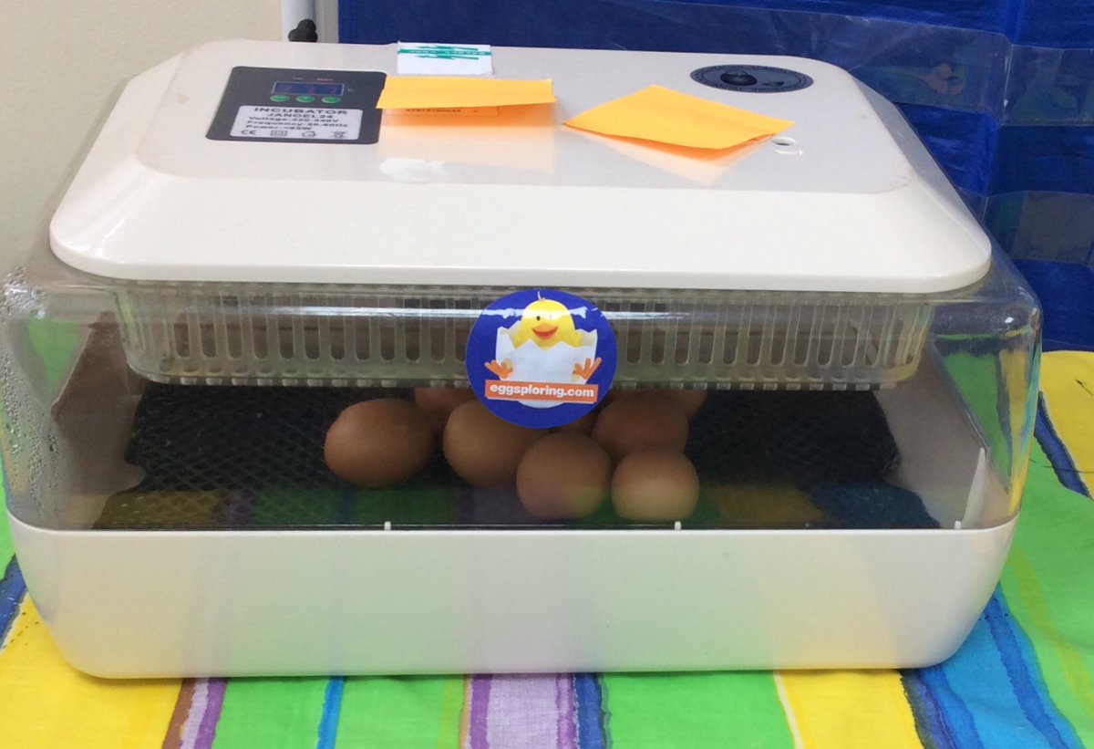 Mrs Karkoszka tweet media