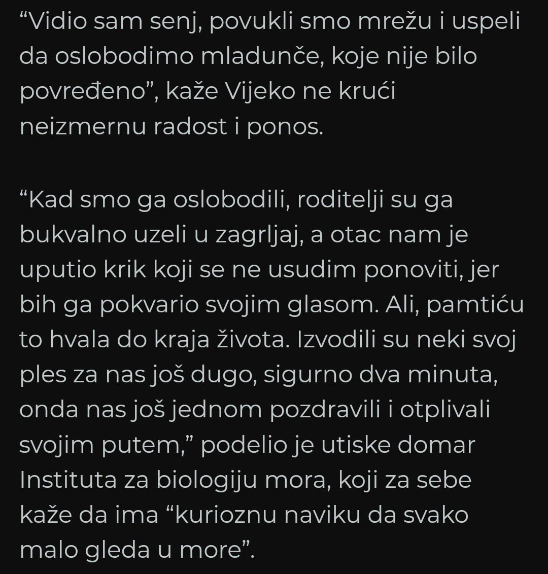 majnejmiz_T's tweet photo. Joooj ljudi, suze mi krenule 🥺🐬🥰 https://t.co/Gn157u5bGM