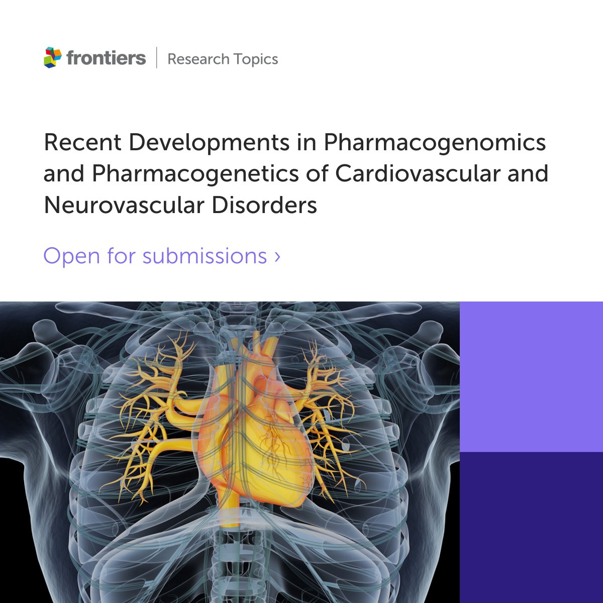FrontPharmacol's tweet photo. We have just launched an exciting #OpenAccess Research Topic on #pharmacogenomics and #pharmacogenetics of cardiovascular/neurovascular disorders! 🫀🧠

📆6th July 2022

Interested? Learn more here ➡️ https://t.co/P8iADazP1a https://t.co/YzNB0OEEV3
