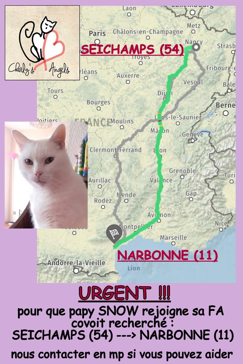 AssociationCh10's tweet photo. Nous avons besoin de #covoiturages pour nos #chats #FIV de #Narbonne à #Seichamps. Merci de nous contacter si vous pouvez nous aider 😻toute proposition même pour un bout de chemin peut nous #aider https://t.co/KTXK5mSQD7