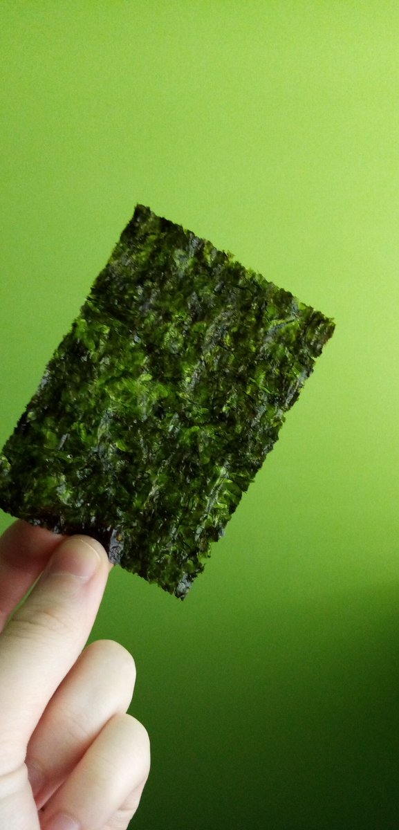 Trying seaweed for the first time. Honestly I love it 😋