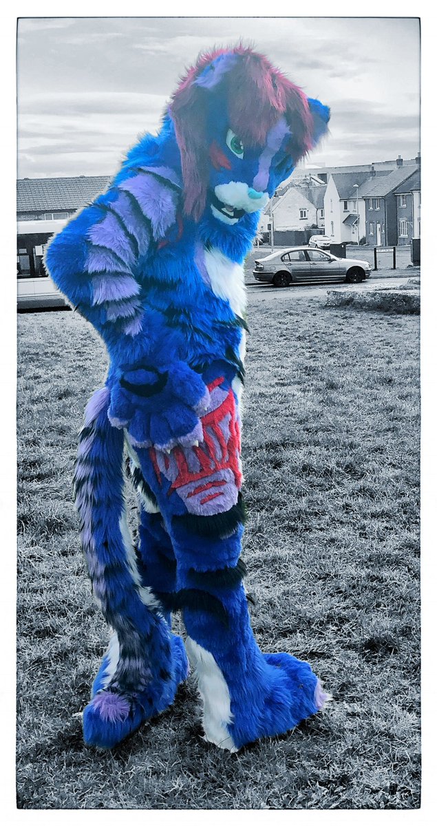 VoxalVisions's tweet photo. @solarsaber_ My first tiger from all the way back in 2017 still going strong! https://t.co/IvKCtIAgjk