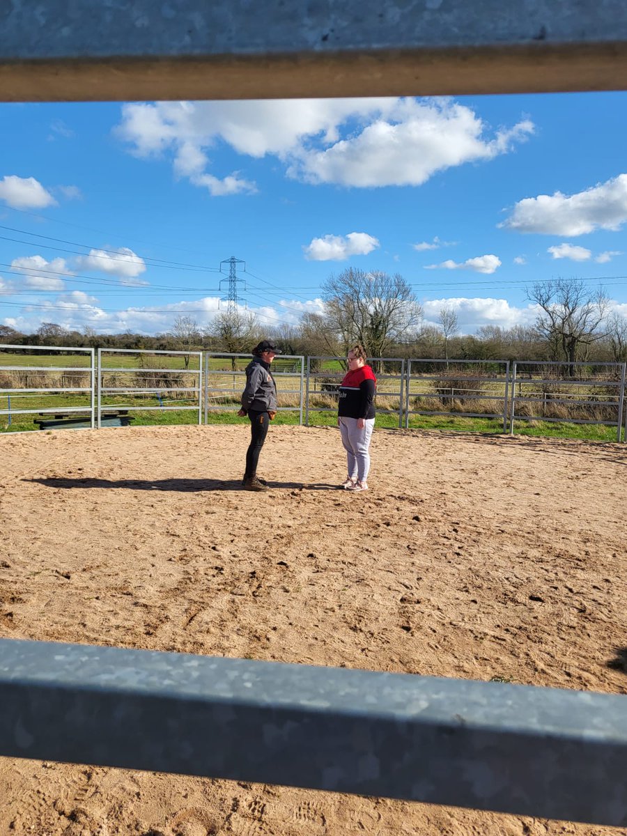 LeicsCares's tweet photo. Our young people are continuing to learn grounding techniques and grow more confident on Project Pony. A brilliant personal development programme funded by @TNLComFund 
@DinaCShale #TogetherWeCan https://t.co/leFcxvPbTV