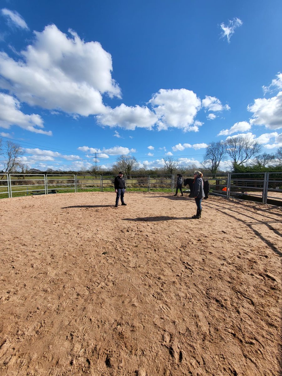 Our young people are continuing to learn grounding techniques and grow more confident on Project Pony. A brilliant personal development programme funded by <a href="/TNLComFund/">The National Lottery Community Fund</a> 
<a href="/DinaCShale/">The Way of the Horse Discovery Center</a> #TogetherWeCan