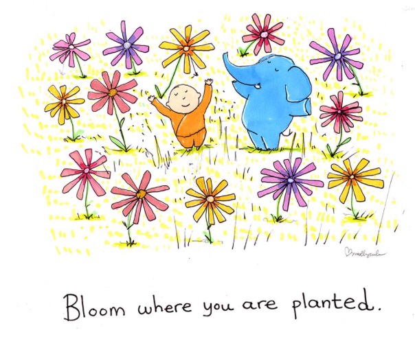 #WednesdayWisdom Bloom where you are planted. - French proverb art: @BuddhaDoodles