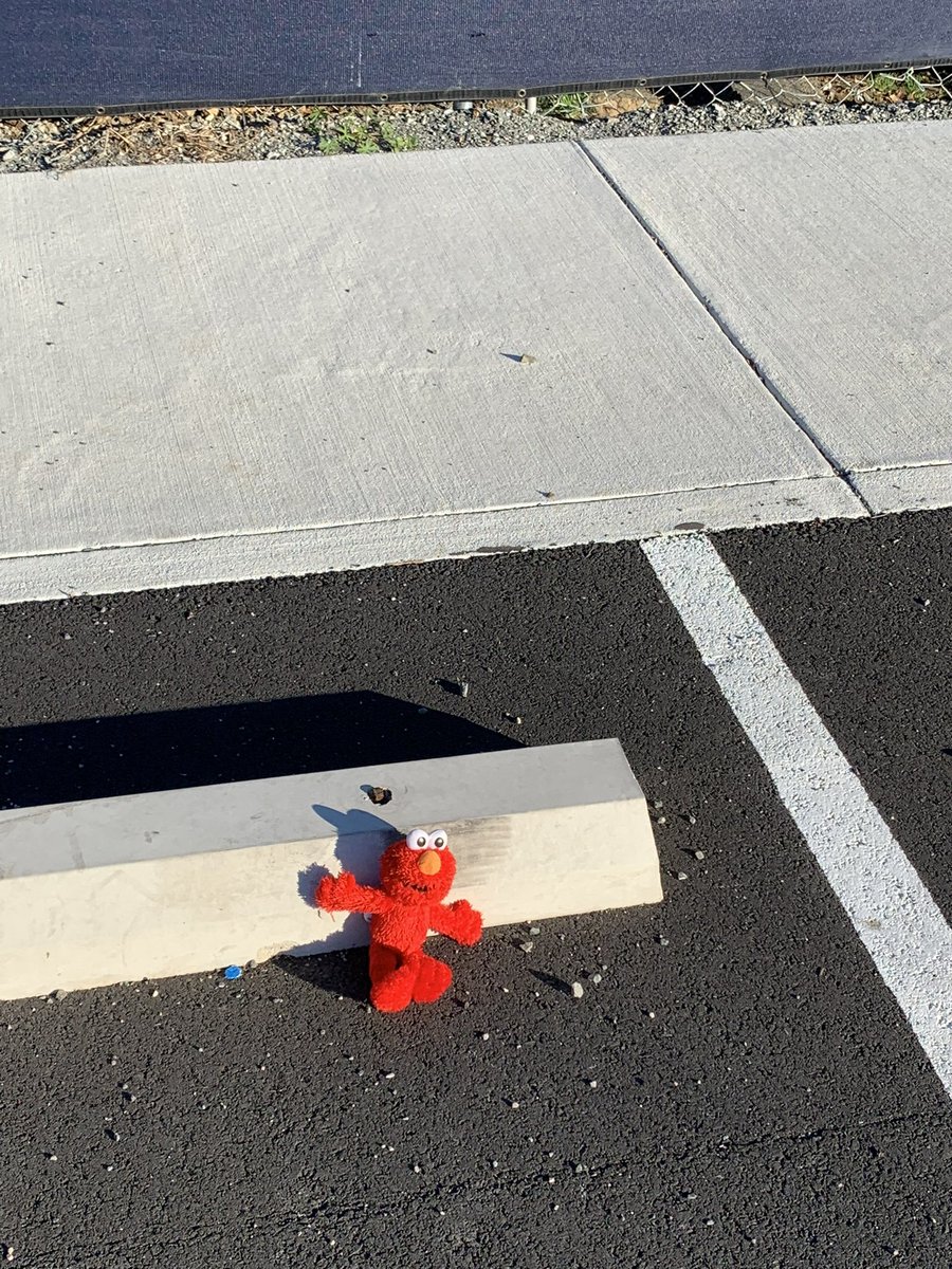 tbryan1556's tweet photo. Please help me find Elmo’s little one. Elmo was left in the #VMHC parking lot Sunday. I met the family walking in the parking lot and later found Elmo where the little boy had dropped him! #lostelmo #elmoinmuseumdistrict #rvamuseum #virginiamuseumofhistoryandculture #elmo https://t.co/ENklGShnAD