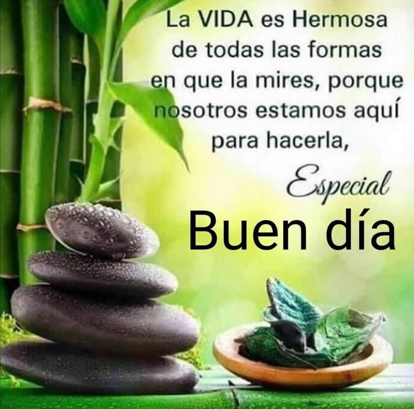 @Franbj59 @cambar_victor @IraidoRamon @MaraDeL80683226 @rus_ito @LOISCM2 @vgtta @LaVozDelSur_1 @AcheogunOta1 @Guacamaroja @LorenChavez_ @AlpargatasRBD @joseeligarcia @GabbieLozada11 @Auris50739999 @EloyCordero2 @Eddie2Marin @LaVerdadDeVEN @ANNAVENCEDORA #FreeAlexSaab ¡Buen y bendecido día Patria Amada VENEZUELA!  ¡Pronta libertad para @FreeAlexSaabOrg ! @NicolasMaduro @Mippcivzla @luchaalmada @DayraMRivasR @fotoecocultura @BattleWinner3 @Auris50739999 @EloyCordero2 @AnaGPinto1 @GabbieLozada11 @MaikelLucena9 @RRPIERU @elayari_23