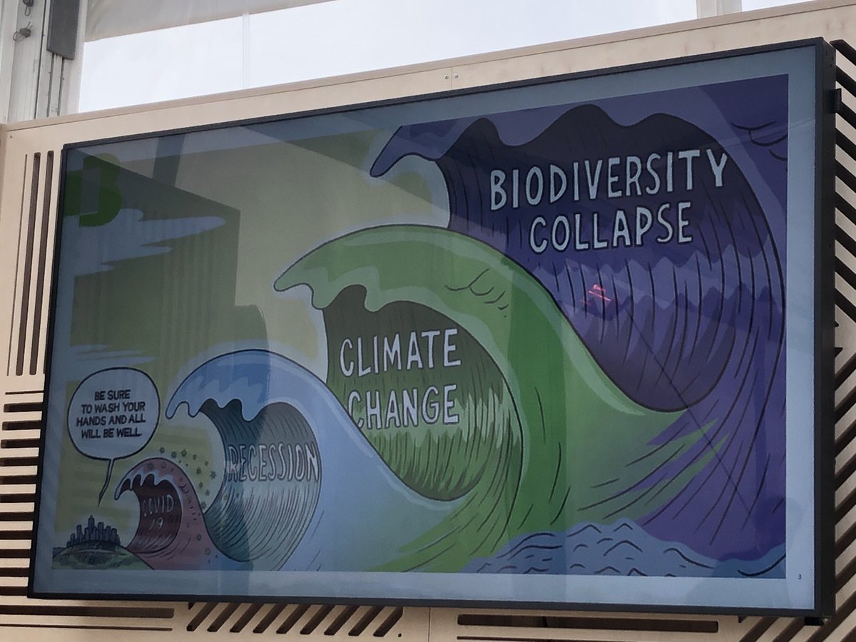 BBCA_asso's tweet photo. ⁦@MIPIMWorld⁩ #climat #construction #bascarbone et #vivant #biodiversite les défis de l’#immobilier drivers de développement de ⁦@Bouygues_Immo⁩ https://t.co/3VlVPoYfow
