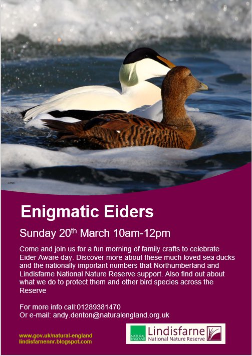 Lindisfarne NNR (@lindisfarne_nnr) on Twitter photo 