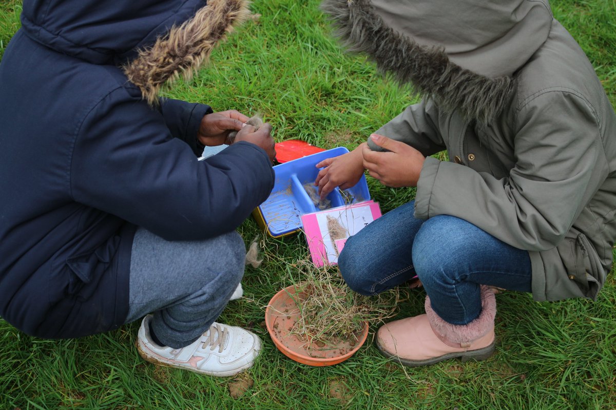 Ecole Trégain tweet media