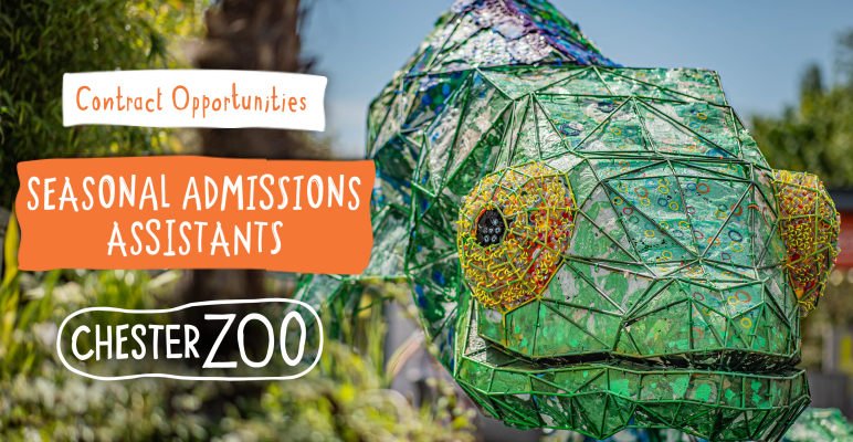 JobsinTourismUK's tweet photo. Contract until Jan 2023

Chester Zoo welcome over 2 mil visitors each year. You'll be one of the 1st people visitors come into contact with; whether on the day at admission lanes &amp; tills or by answering emails &amp; calls

https://t.co/8qVhaJ96lT

#jobsinzoos #jobsintourism #chester https://t.co/lXJNczqw9k