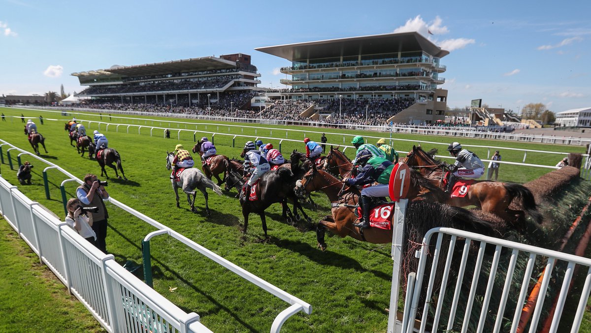 CheltenhamRaces's tweet photo. Nine days to go. 👀

#TheFestival https://t.co/fJKI70xK2p