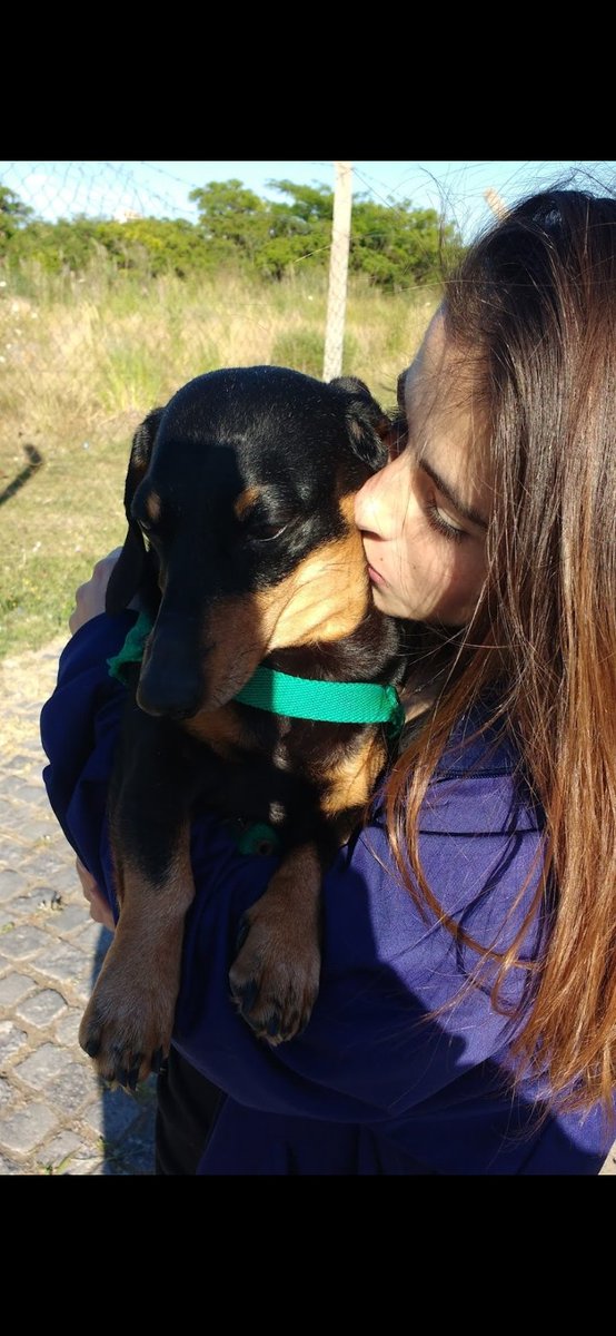 maca_lazaro's tweet photo. Que ironía que partiste el día del hermano, para muchos serás mascota, pero para fuiste más que eso.

Vola alto principito mio. https://t.co/7zxjSES5qH
