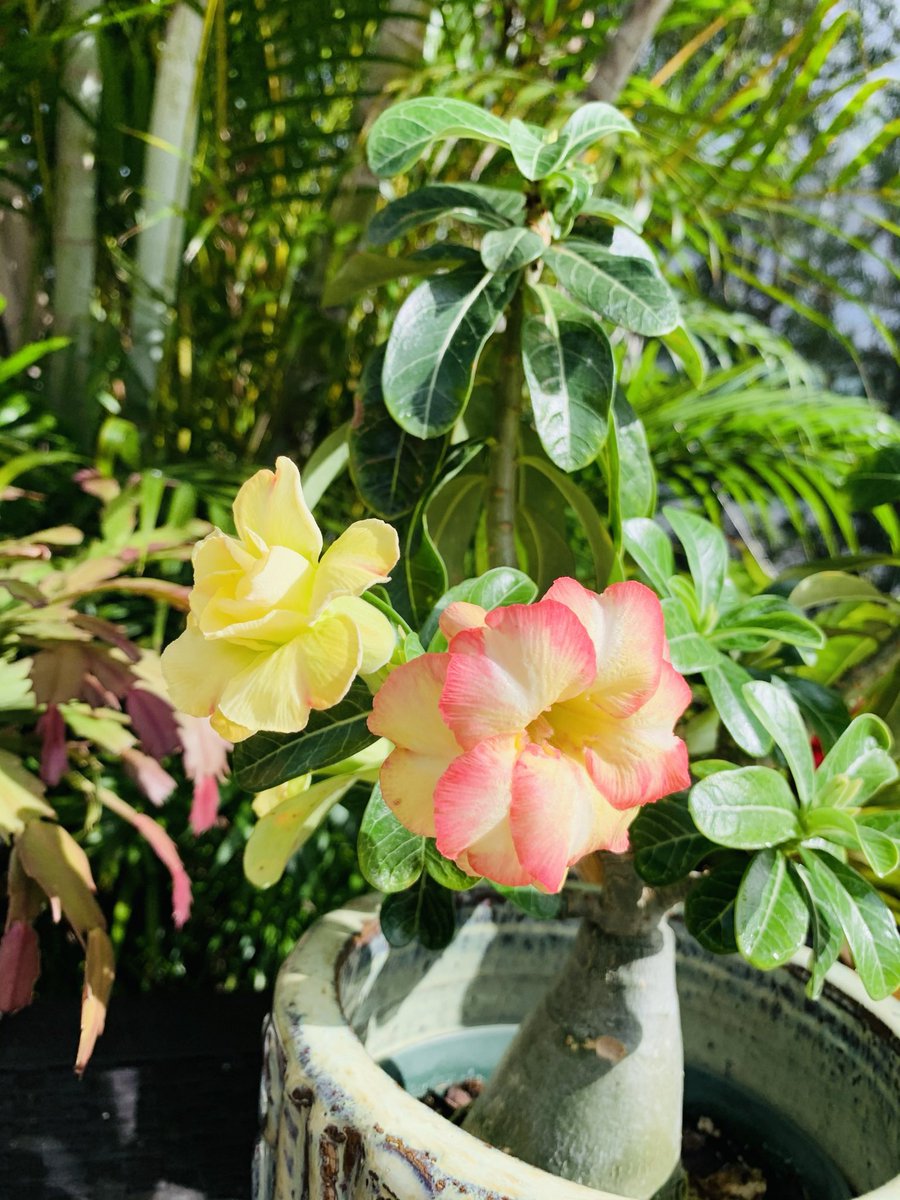 SalePaLaCalle's tweet image. Life is Beautiful‼️#LaVidaEsBella no vale la pena tanto tiqui-tiqui #justonelife