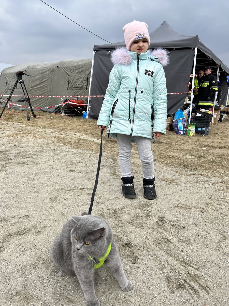 One million people have been forced to flee their homes in Ukraine - among them 7 year old Violeta who made the 4 day journey from Odessa with her cat Richard