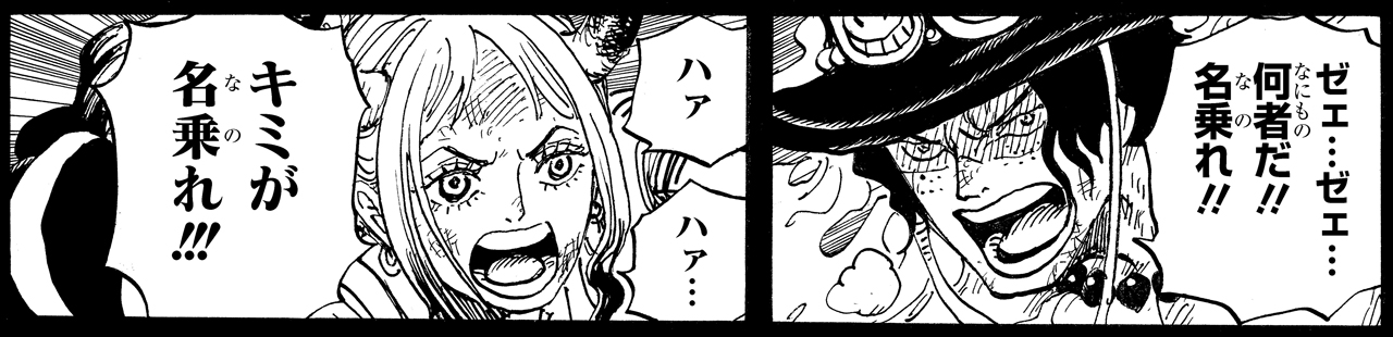 アニメ One Piece で親ガチャ論争 1013話エースの名言に グッときた まいじつエンタ