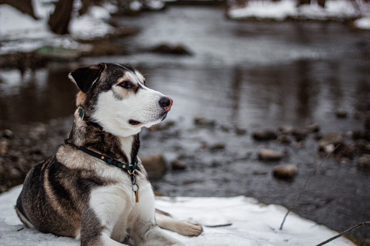 𝐖𝐚𝐭𝐬𝐨𝐧 tweet media