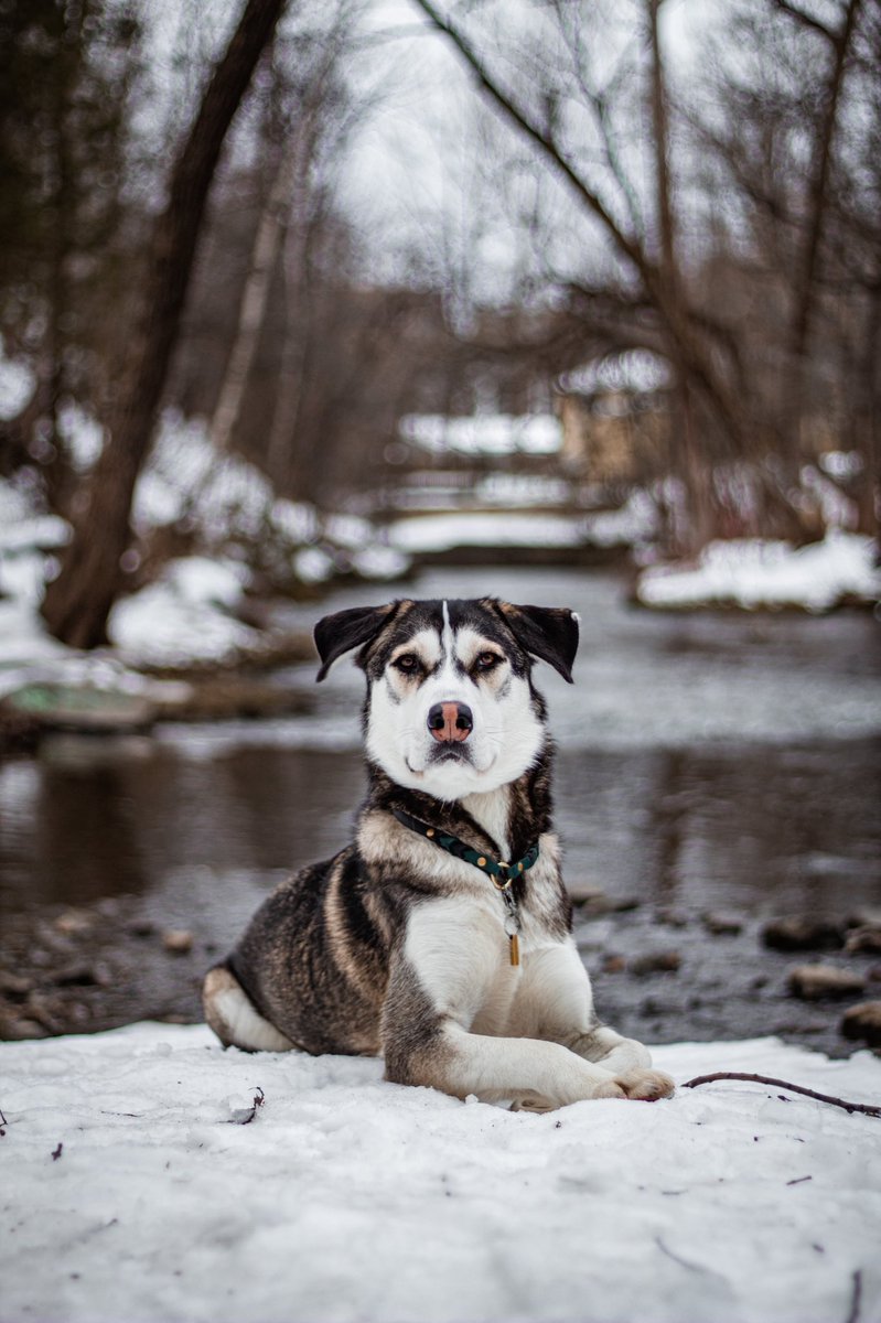 𝐖𝐚𝐭𝐬𝐨𝐧 tweet media