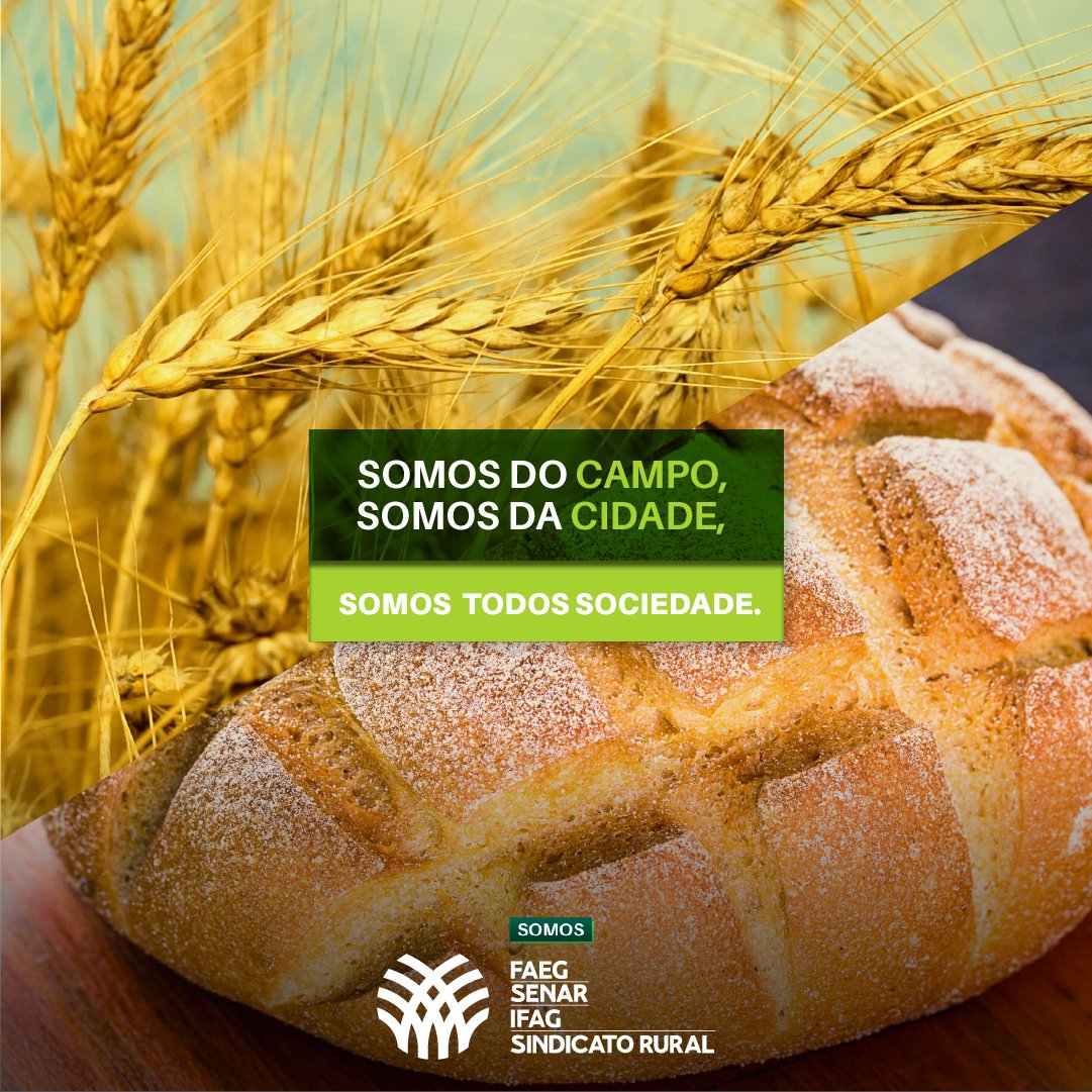 SistemaFaeg's tweet photo. 🚜 🥗 Da semeadura à colheita, tem a força do #Agro até chegar em sua mesa. Nosso trabalho é cuidar e capacitar os produtores que unem o campo e a cidade, gerando emprego, renda e qualidade de vida a população.
#SistemaFaeg #SenarGoias #campo #cidade https://t.co/lkJfEboIqt