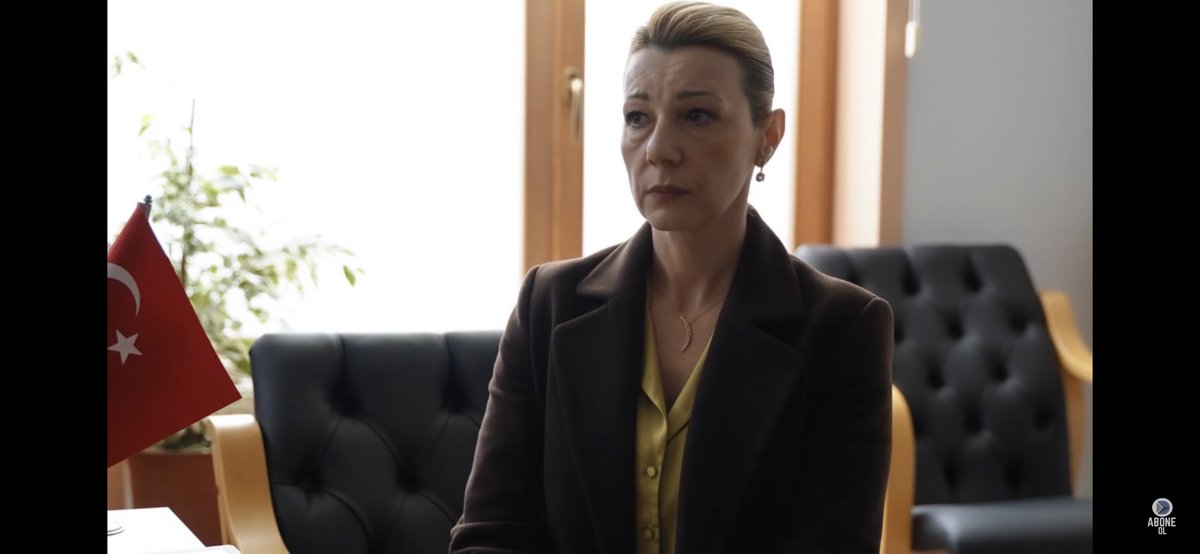 Marina Menezes tweet media