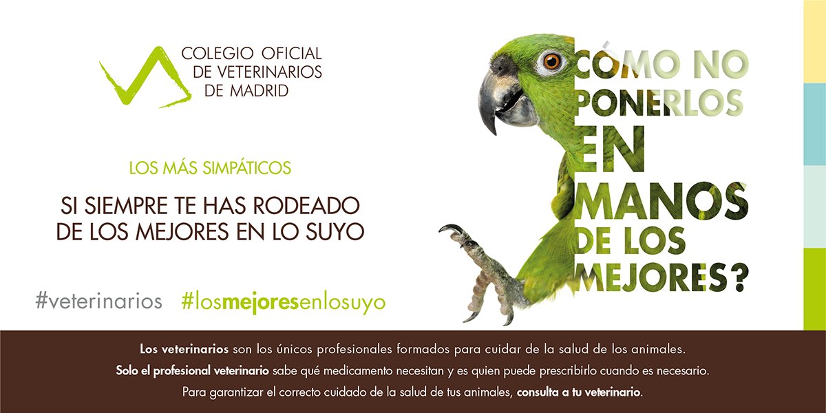 colvetbizkaia's tweet photo. ‼️ Los #veterinarios son los únicos
profesionales formados para cuidar de la
#salud de los #animales.
Solo el profesional veterinario sabe qué
#medicamento necesitan y es quien puede
prescribirlo cuando es necesario.
#LosMejoresEnLoSuyo https://t.co/QhPppEzS4p