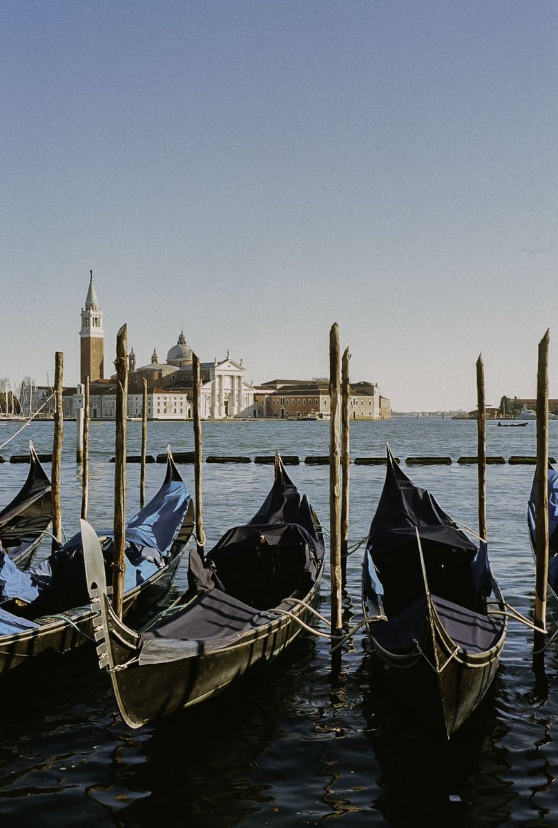 Elissaa_rose's tweet photo. film i shot while in Venice https://t.co/EQurt8VuhF