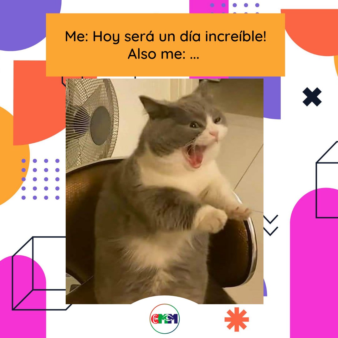 GRUPO_CMM's tweet photo. #CEMEME | Β‘Actitud de viernes! π€© π€© π€©
#GrupoCMM #Memes #ActitudDeViernes #Frayay https://t.co/jqbPSk5XUe