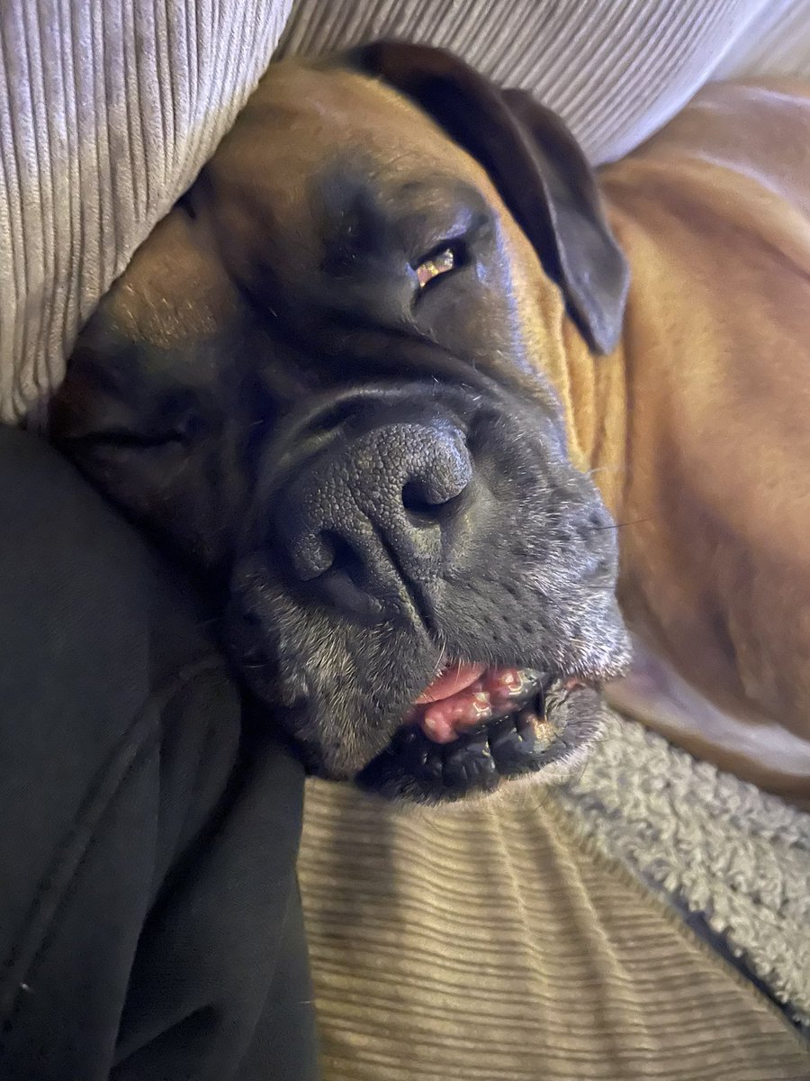 Karl Ramsden tweet media