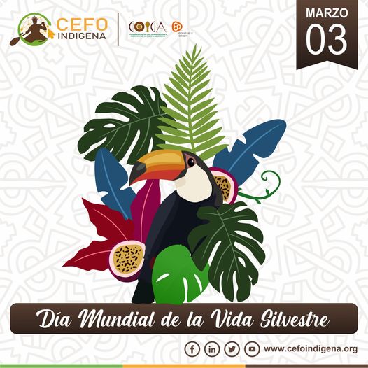 Equitable Origin tweet media