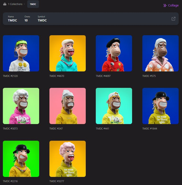 THEMONKEYDC's tweet photo. 🧹TMDC FP 🧹
As promised, we bought 10 TMDC NFTs! 

These NFTs will be used for giveaways in the coming days 🎉

#TMDC #THEMONKEYDESIGNCLUB #SolanaNFTs https://t.co/05aJg89DJc