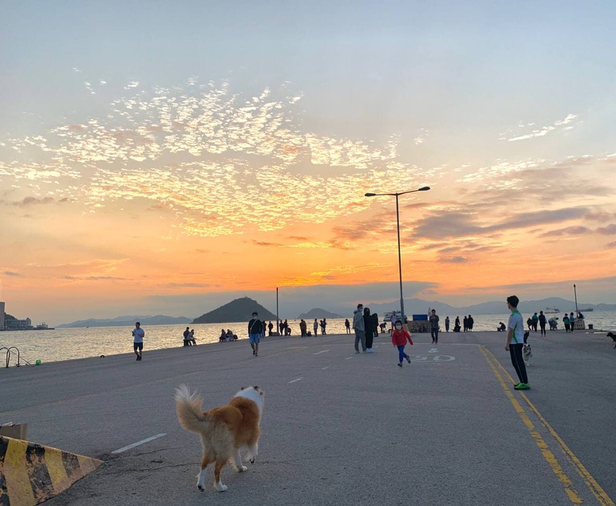 olderkkkk's tweet photo. The calm sea reflected by the sunset, even for a short period of time, is soothing. https://t.co/AgrsN3VMDH