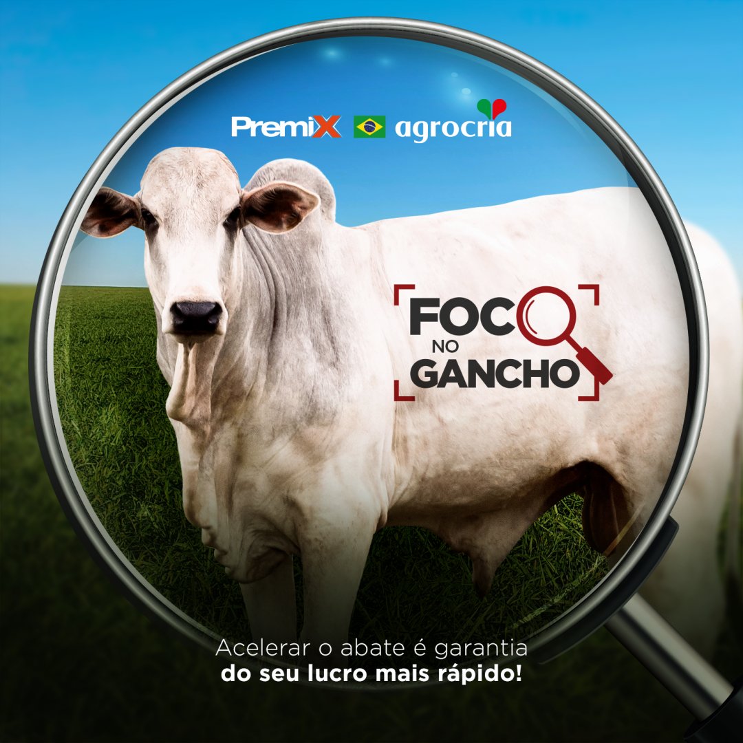 Agrocria_'s tweet photo. Se o seu rebanho tá precisando de uma forcinha extra para ir mais rápido para o abate, essa é a campanha certa! A qualidade dos nossos produtos vai acelerar o ganho de arrobas do seu gado.
Fale agora mesmo com um de nossos consultores e saiba mais sobre os resultados! https://t.co/RR6Ru7Wfqz