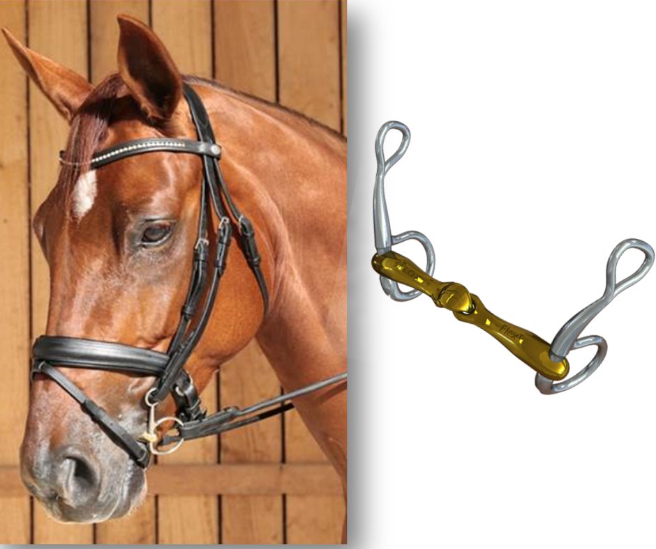 🌟Bit of the week🌟
Can your horse be a little strung out but also poll sensitive? 
🐢Turtle tactio Baucher!🐢
Click here to find out more👇
nsbits.com/.../turtle-tac…