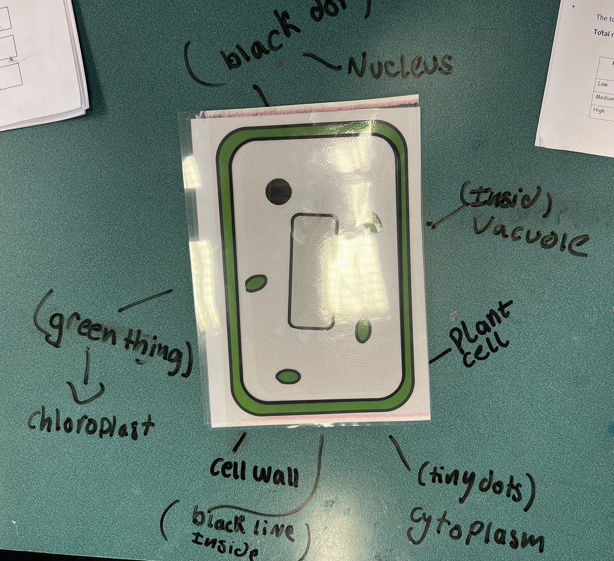 Ross High Science Department tweet media