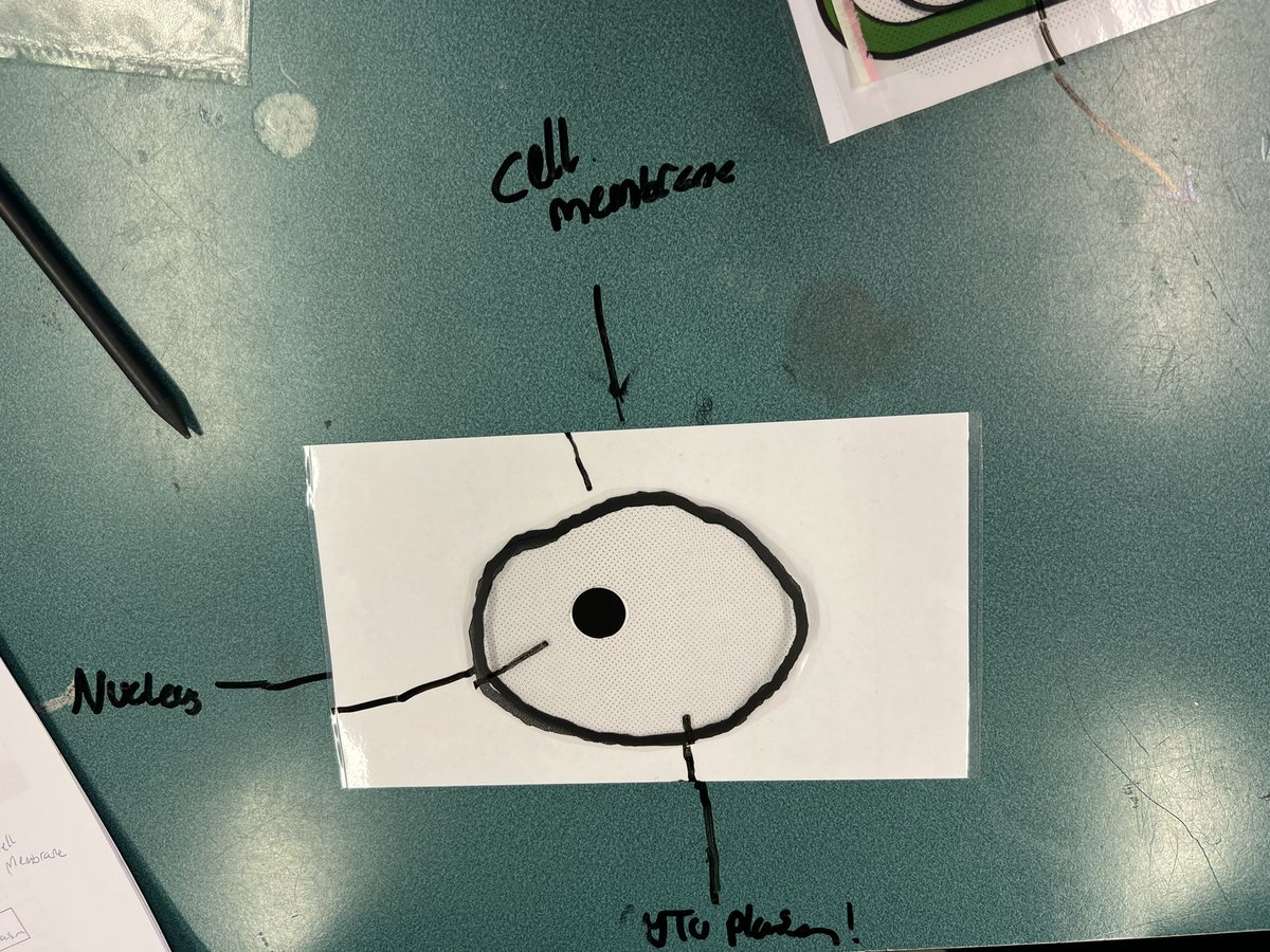 Ross High Science Department tweet media