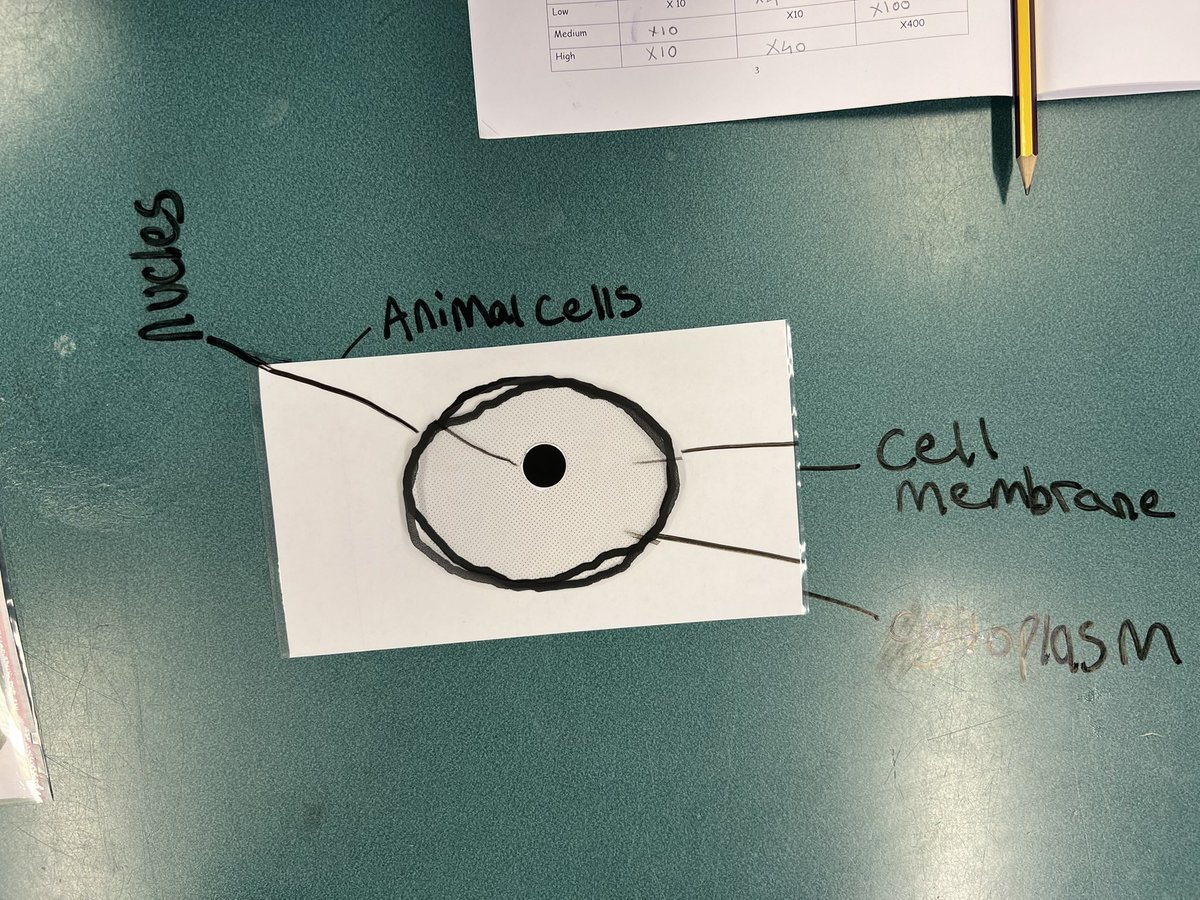 Ross High Science Department tweet media