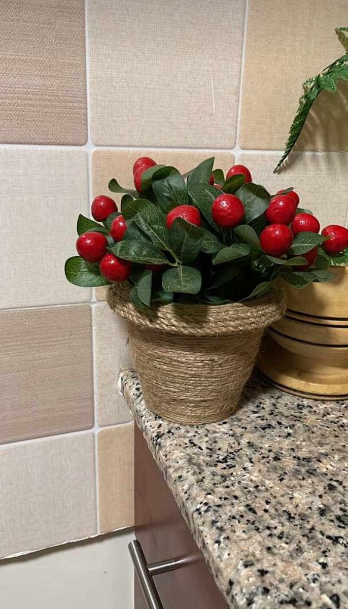 SFFUg_Official's tweet photo. We also make beautiful flower pots/vessels at a cheap price as well as flowers on sale too
Support our #StreetFamFoundation ladies and gentlemen
I'm pic - 40K
We deliver
#LiftingHandsToHelp https://t.co/fw9kwyb6G2