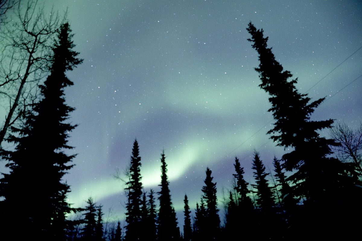 AmandaShoots's tweet photo. ✅ off the bucket list. Finally got to see the aurora borealis tonight. I can’t describe how it felt but I had goosebumps the entire time. https://t.co/7gehOKVFsx