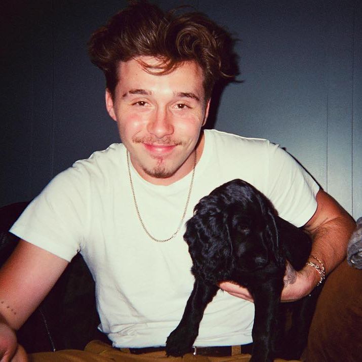 What\s better than Brooklyn Beckham? Brooklyn Beckham with puppies  Happy Birthday  