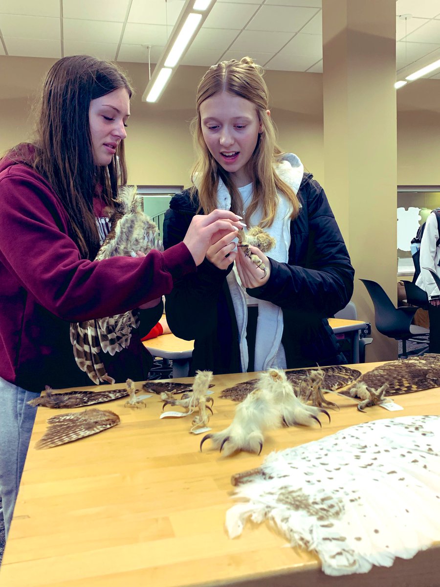 Our agriculture students spent the day with Harlan the barred owl learning all about adaptations, habitats, conservation, &amp; owl pellet analysis. #dorothypecautnaturecenter <a href="/SCCareerAcademy/">Sioux City Career Academy</a> #CTE #SCCSD