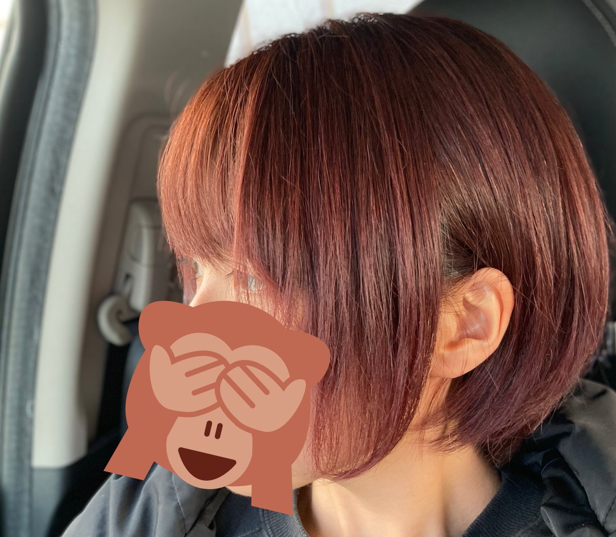産後に白髪が急増して月１でヘアカラーしないと耐えられない量に 美容室のサブスク をやってみたらめちゃくちゃ良かった Togetter