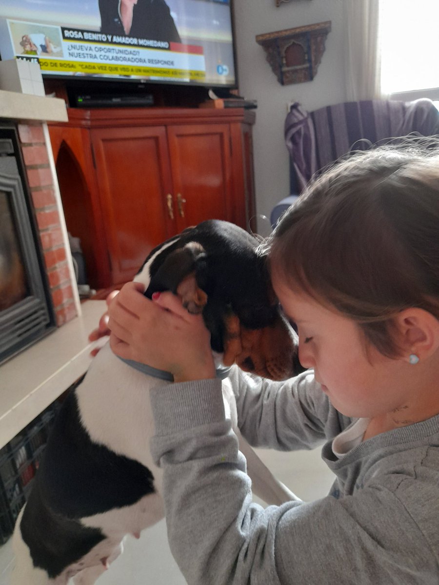 Debofer36's tweet image. Por fin, Isis ha encontrado una familia, generosa y buena, que la va a cuidar y a querer. 
Ahora, nuestro objetivo: ayudar a Ucrania