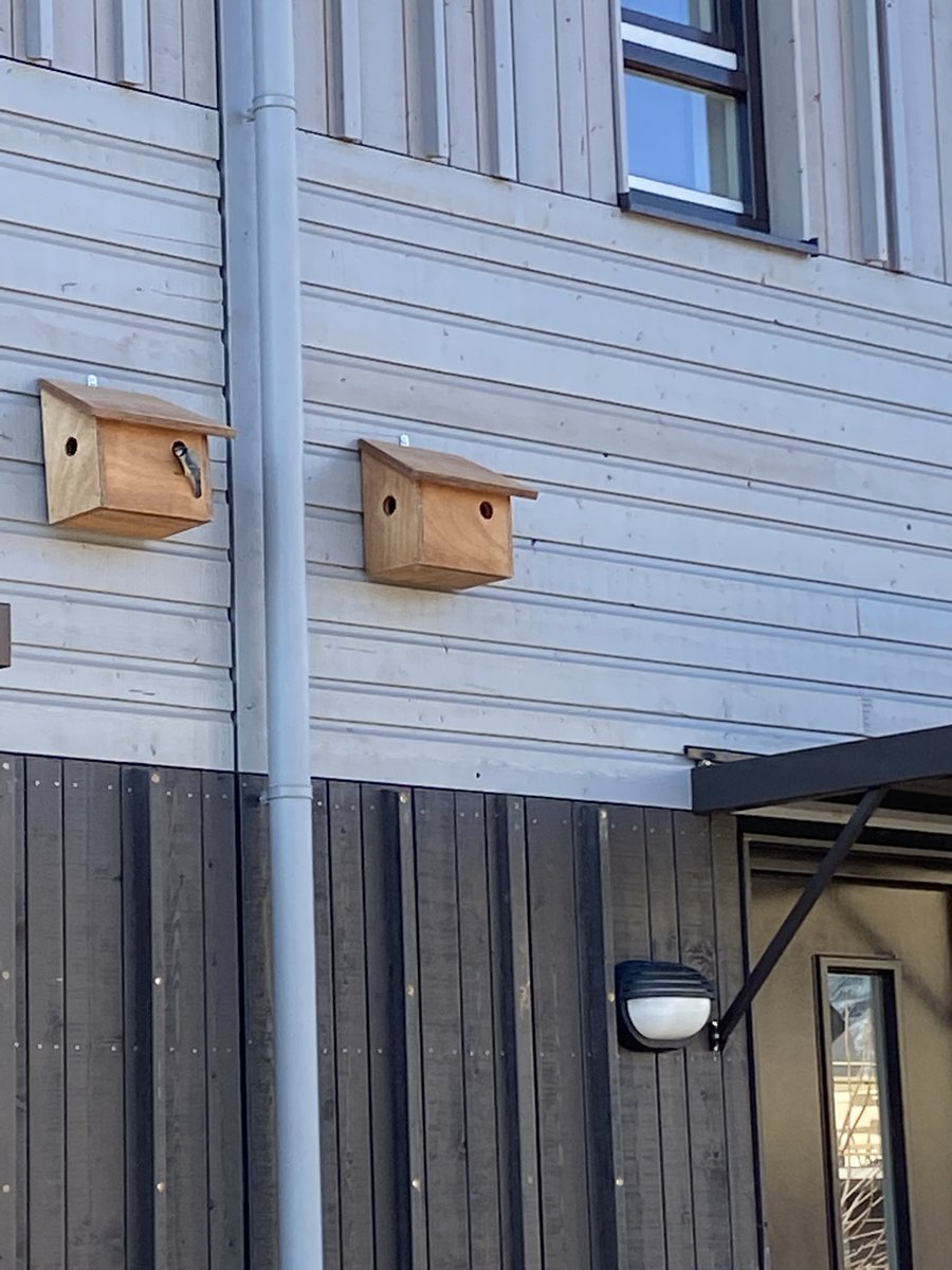 BlokjeOpnieuw in #hengelo met een scala aan natuurinclusieve en circulaire aspecten. Totaal hergebruik fundering, gaaf! Zeer zorgvuldige transformatie van <a href="/DuraVermeer/">Dura Vermeer</a> en @Welbions met echt oog voor de buurt en bewoners! #trots #overijssel <a href="/De_Woonkeuken/">De Woonkeuken</a>