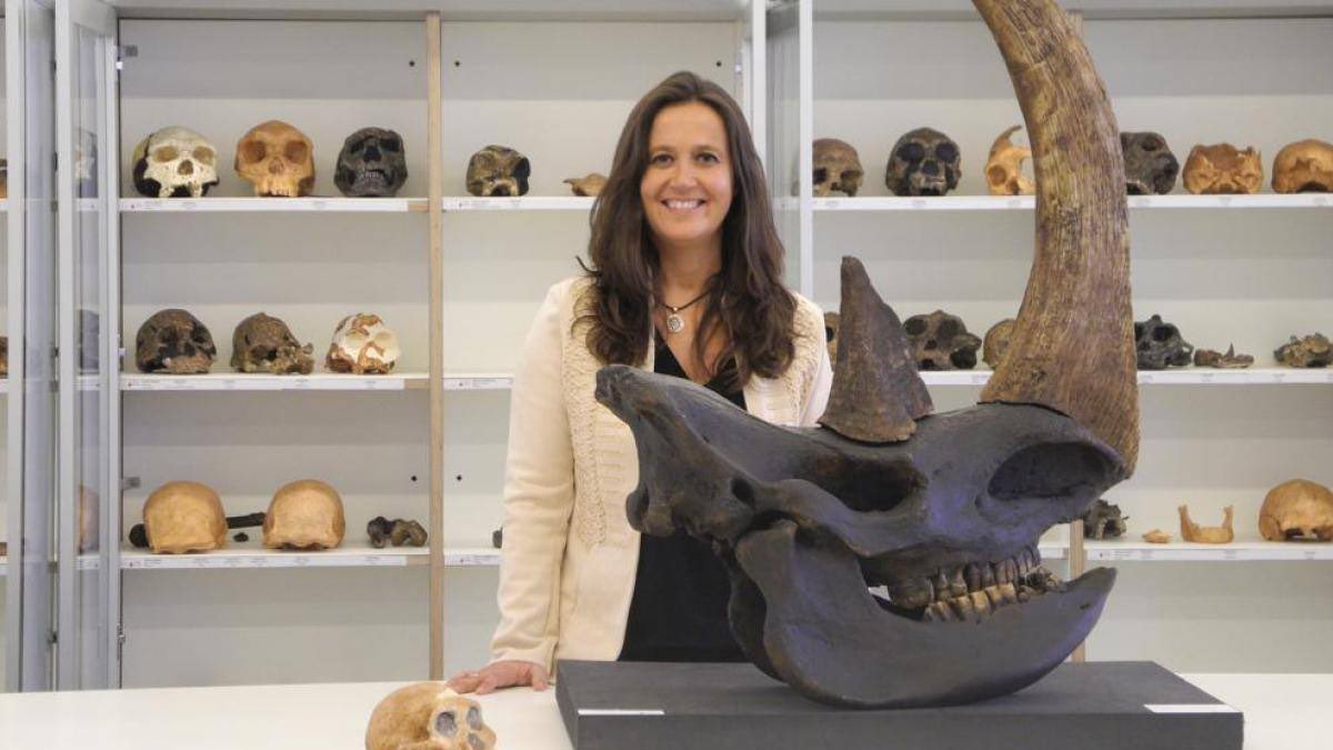 UCCUAM's tweet photo. 📢 "Lo importante es tener referentes y un ambiente en el que mujeres y hombres participen de esa promoción de la igualdad"

📌 Entrevista a @MMartinonT, directora del Centro Nacional de Investigación sobre la Evolución Humana @CENIEH, por @BaenaLucia

▶️ https://t.co/e8tn8kWb8W https://t.co/TgEIwlFle2