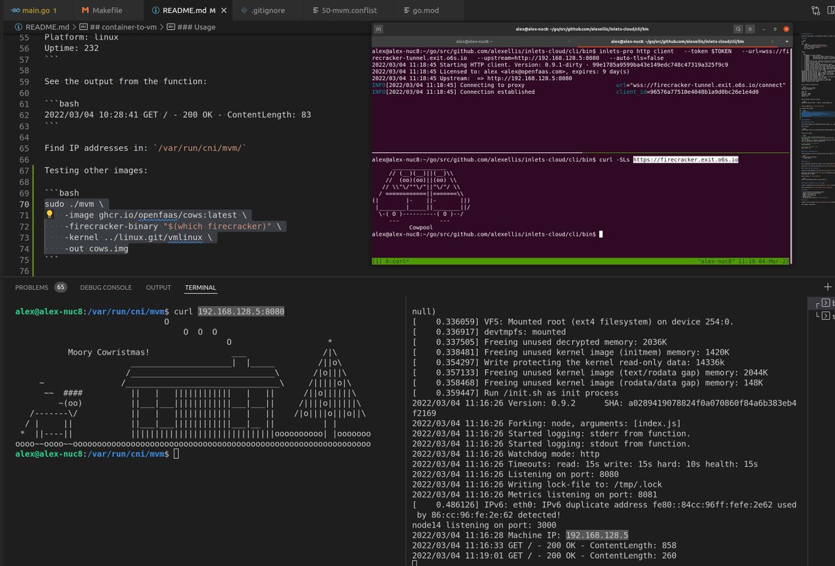 Alex Ellis tweet media
