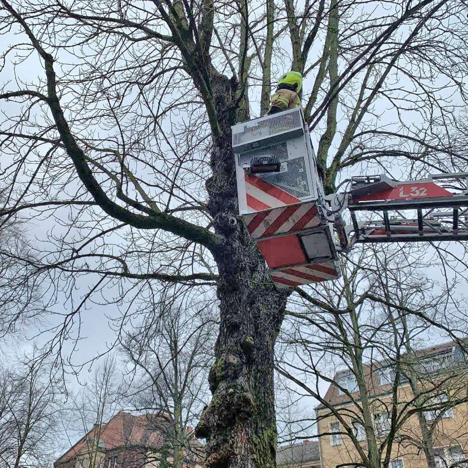 Drehleiter mit einem Feuerwehrmann drauf
