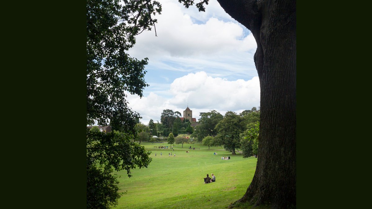 Psychological Professions SPFT tweet media