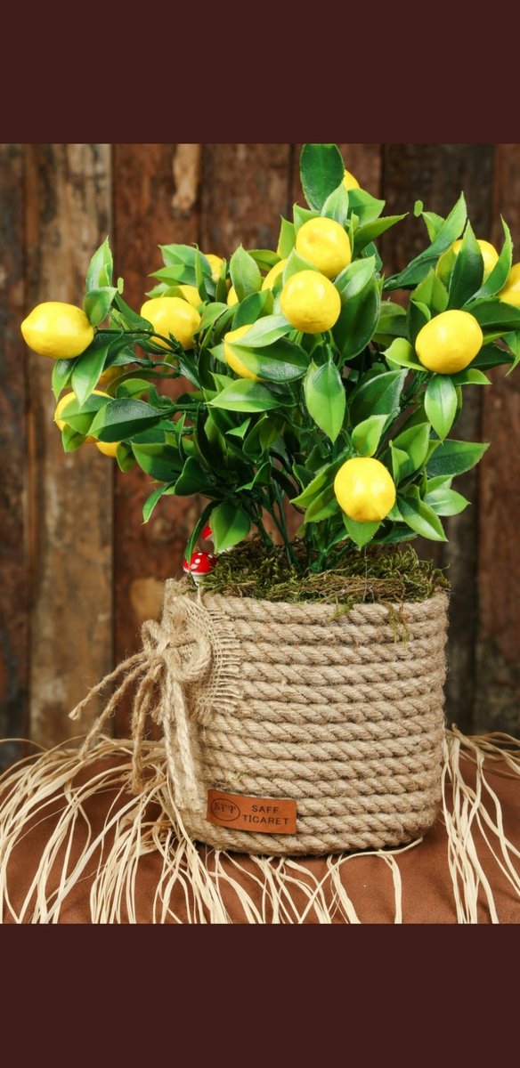 Yapay dekoratif saksılı ağaç ve çiçek 
İnstagram: instagram.com/saffticaret?ut…
#Zampiyon #SORUMLUSUNUZ #Anaokulu #benzinezam #ZAMlarınSonuYokMu #Cuma #instagramdown #zeytinağacımadokunma #TwitterYıldoenuemuem #YouTube #facebookads #Rusya #ukraynarusya #SAVASAHAYIR #HazalKaya